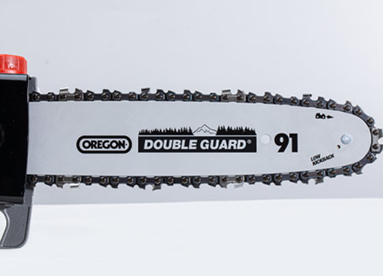 10in OREGON® CHAIN AND GUIDE 